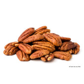 Noix de pécan bio