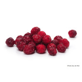 Cranberry Entière